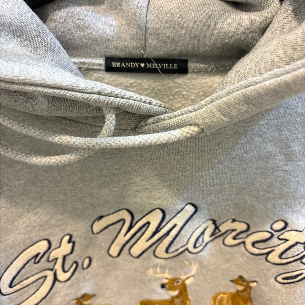 Brandy Melville Light Gray St. Moritz Graphic Hoodie